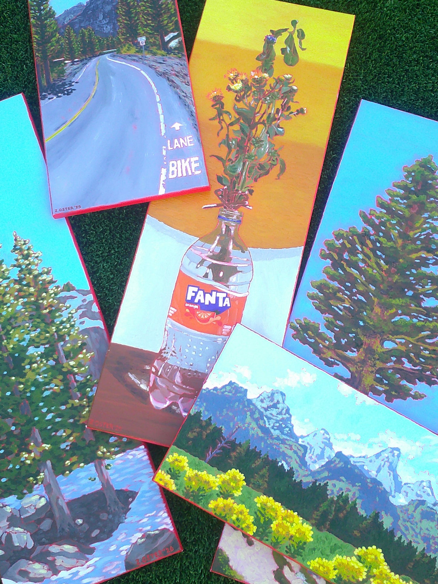 Pine Tree on the Incline Flume Trail
