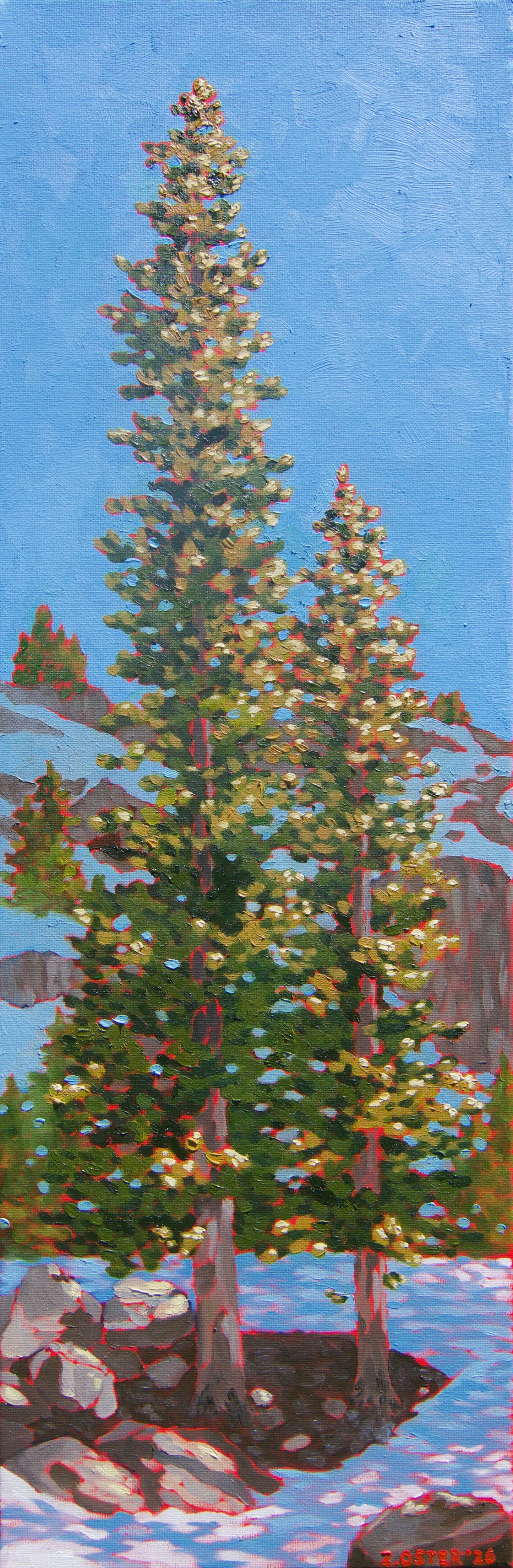 Spring Thaw at Donner Lake