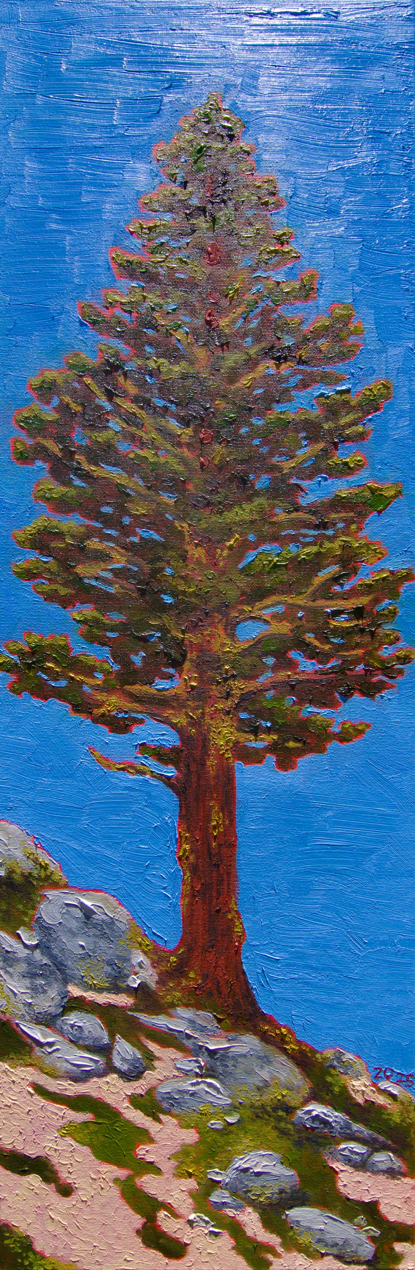 Pine Tree on the Incline Flume Trail